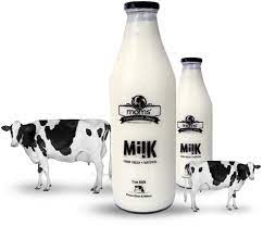 Cow Milk - Fresh